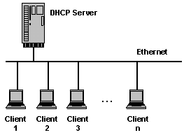 DHCP Server assigns IP addresses to multiple clients