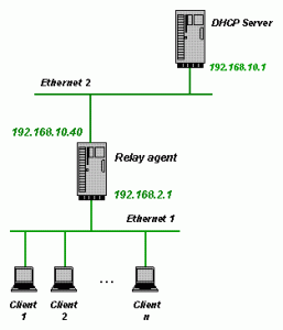 netpic7